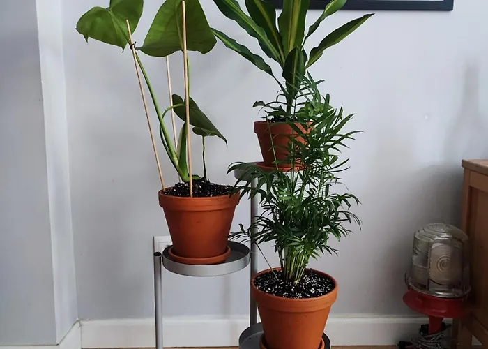 Appartement Sien Gdanska Gdańsk