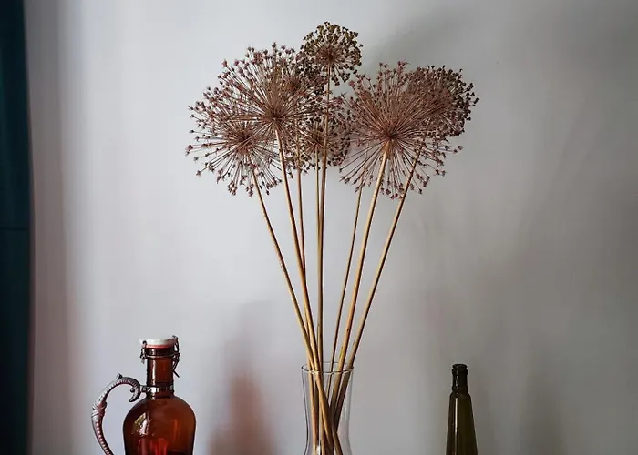 Sien Gdanska Гданьск