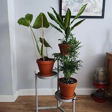 公寓 Sien Gdanska 格但斯克